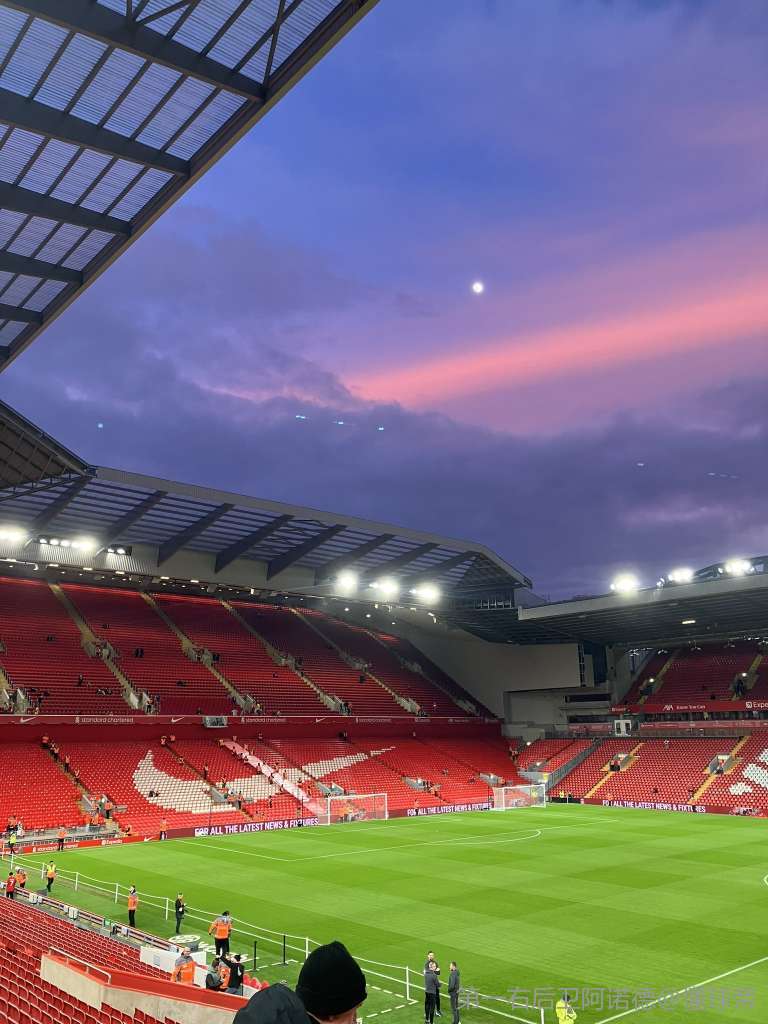 它重新确认 它重新确认